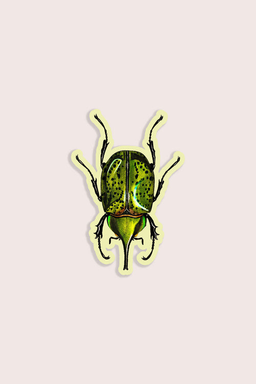 Blissful Beetle - Gap Filler Sticker