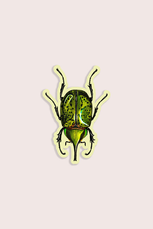Blissful Beetle - Gap Filler Sticker