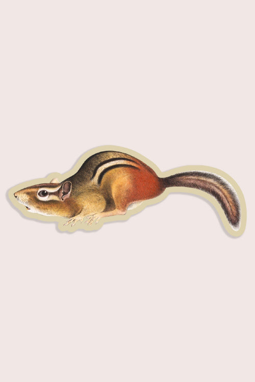 Suspicious Chipmunk - Gap Filler Sticker