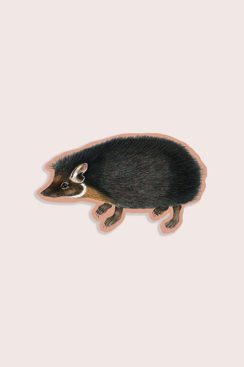 Humble Hedgehog - Gap Filler Sticker