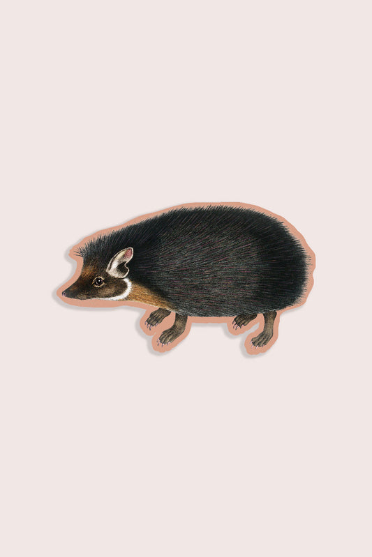 Humble Hedgehog - Gap Filler Sticker