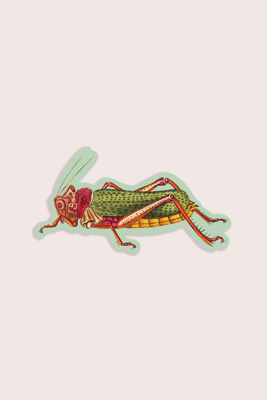 Lairy Locust - Gap Filler Sticker