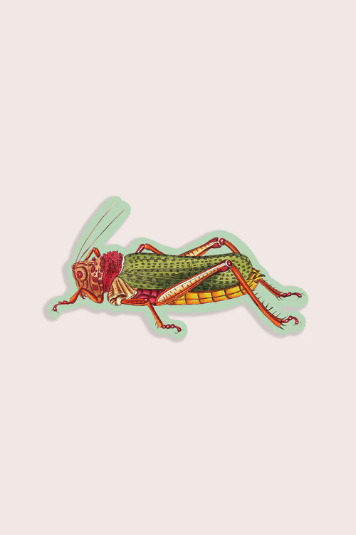 Lairy Locust - Gap Filler Sticker