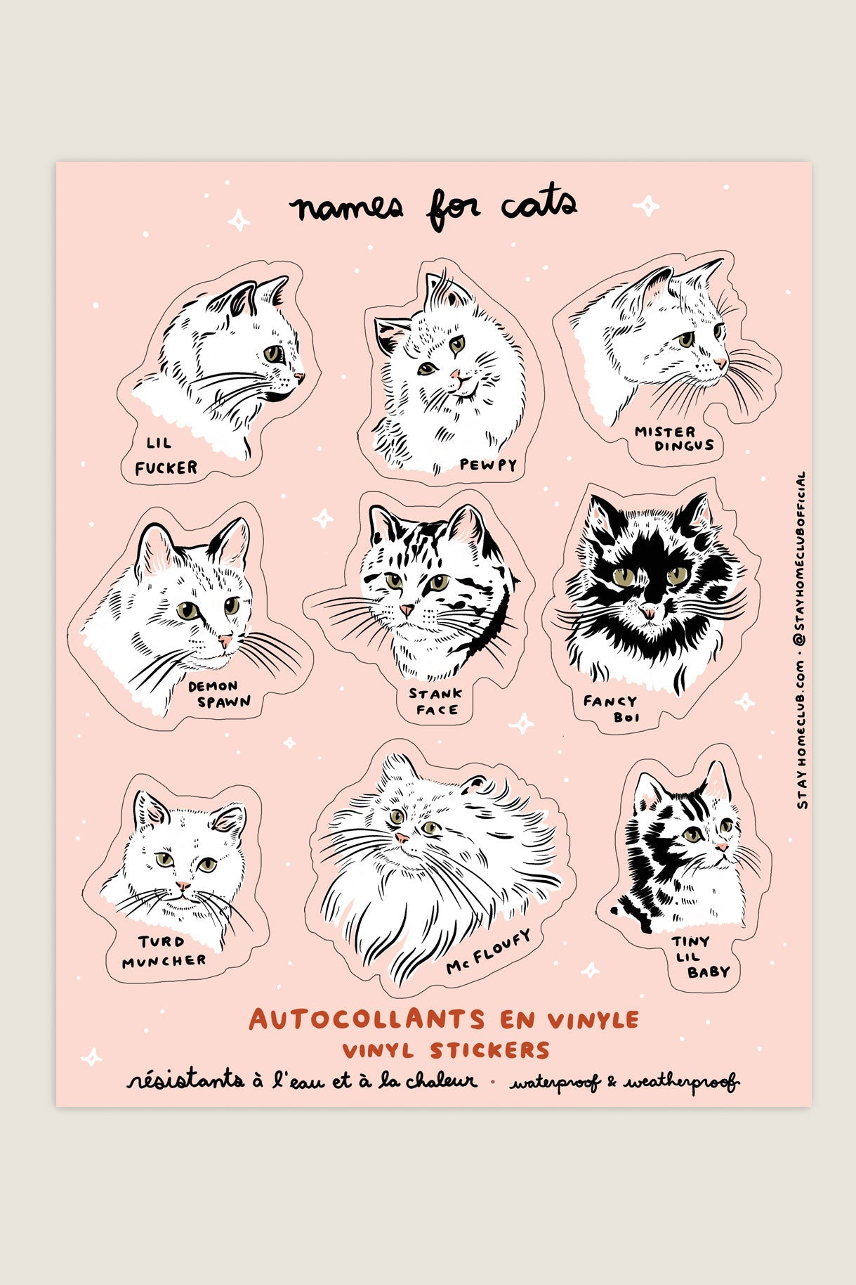 Names for Cats Mega Sticker Sheet