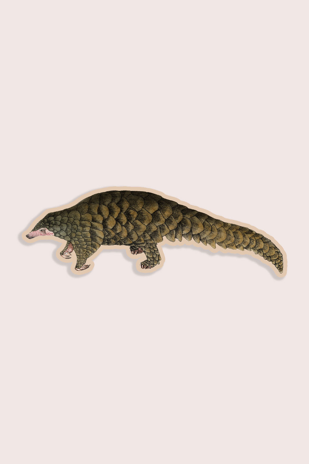 Purposeful Pangolin - Gap Filler Sticker