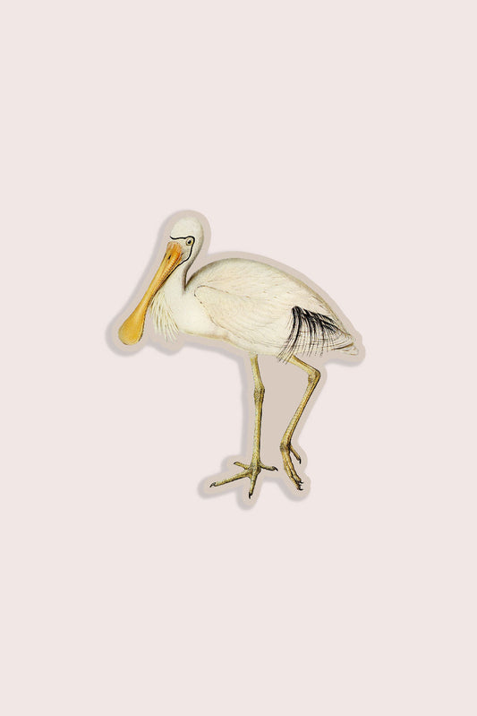 Skeptical Spoonbill - Gap Filler Sticker